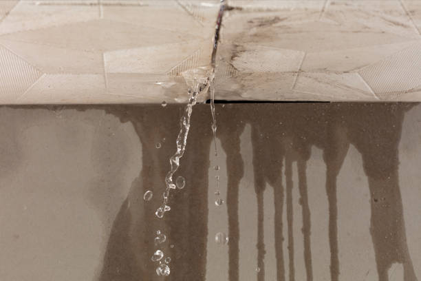 Professional Water Damage Inspection technician working in Fate, TX